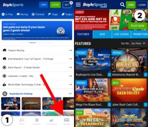 Login to BoyleSports Live Casino.